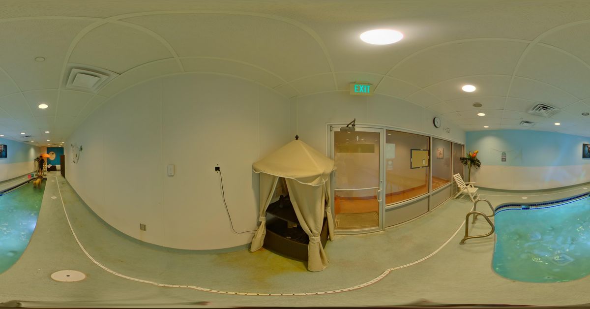 Olde Towne Pet Resort Springfield Pool