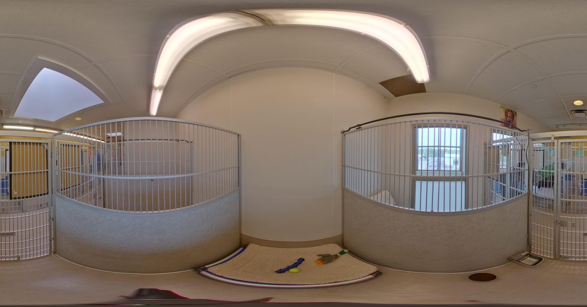 Olde Towne Pet Resort Dulles Classic