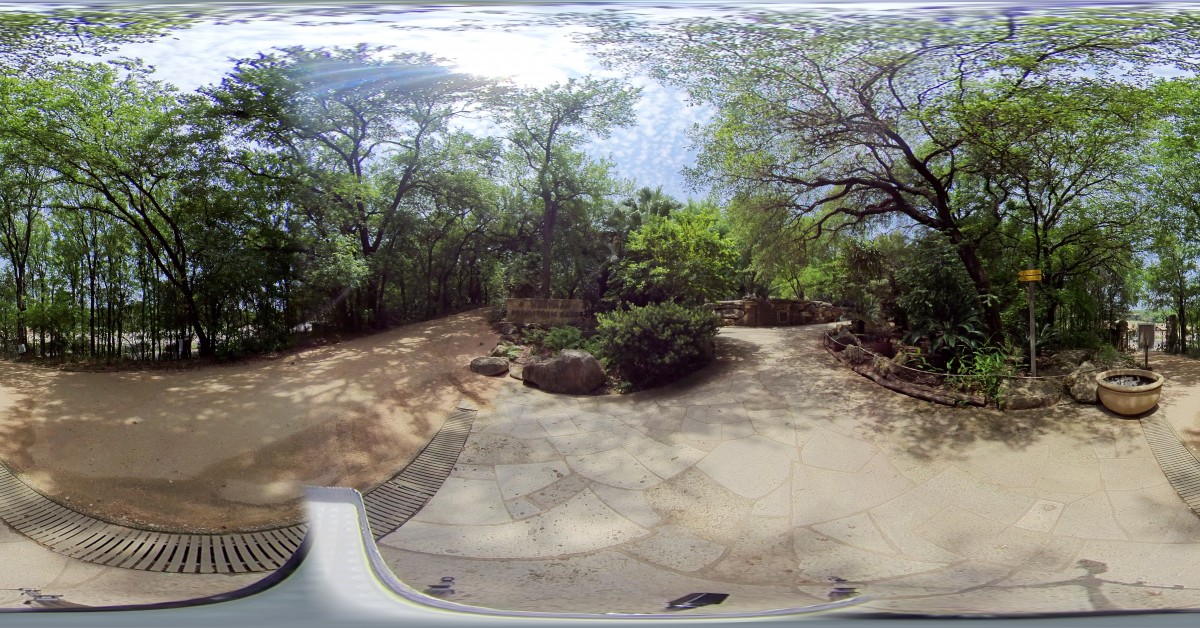 Hartman Prehistoric Garden at Zilker Botanical Garden